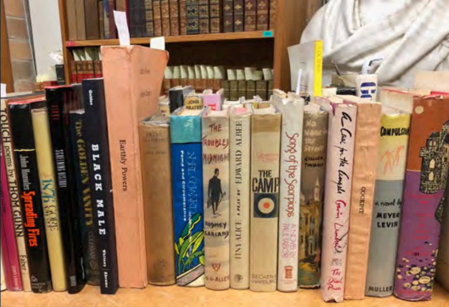 John Willis in Conversation with the Australian Queer Archives