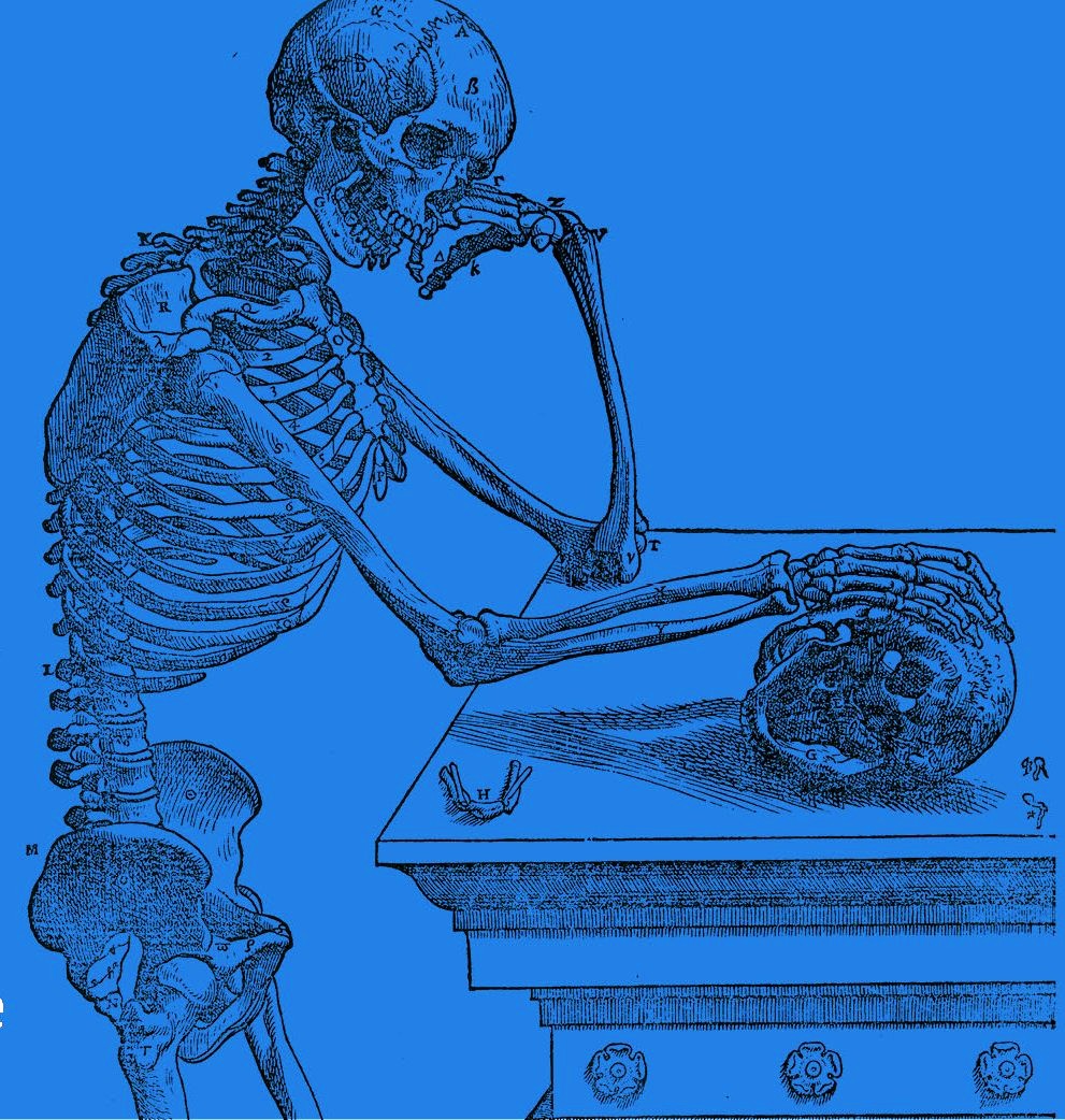 The Cowlishaw Symposium 2025