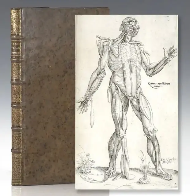 Anatomy of a Book SLV